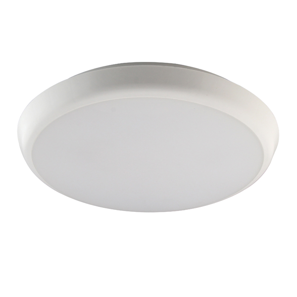 Surface-Mount Ceiling Light