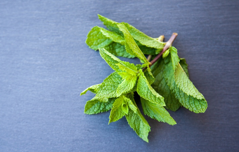 Image of Mint