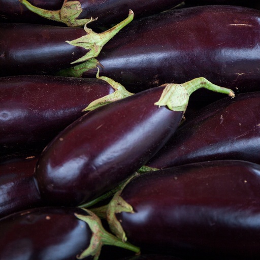 Image of Eggplant