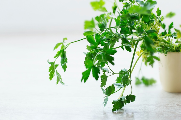 Image of Parsley