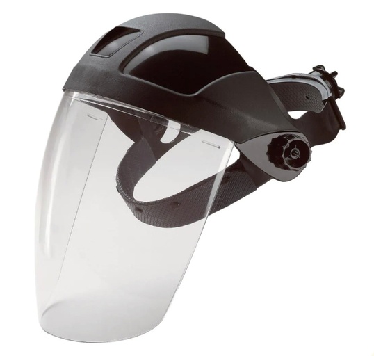 Face shield