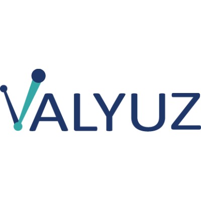 Institution brand logo - Valyuz