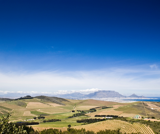 Durbanville Hills.png