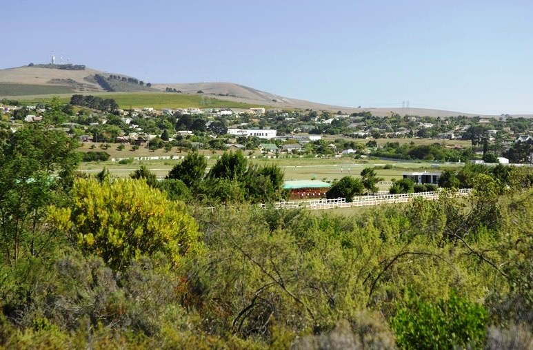 Durbanville view