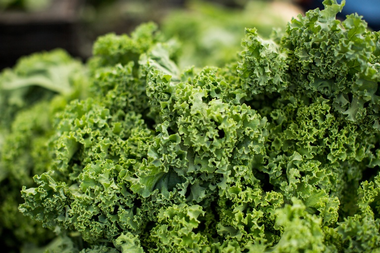 Image of Kale