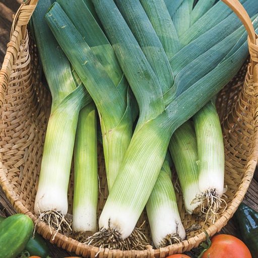 Image of Leeks