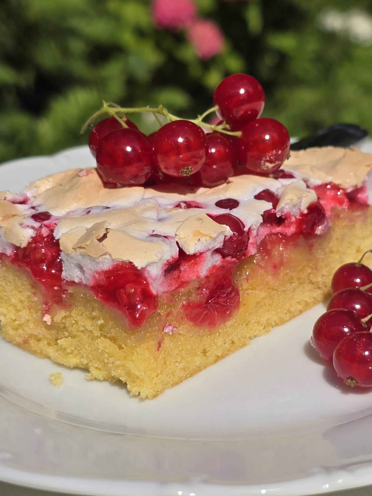 Gâteau rustique meringué aux groseilles (traditionnelle & Thermomix)