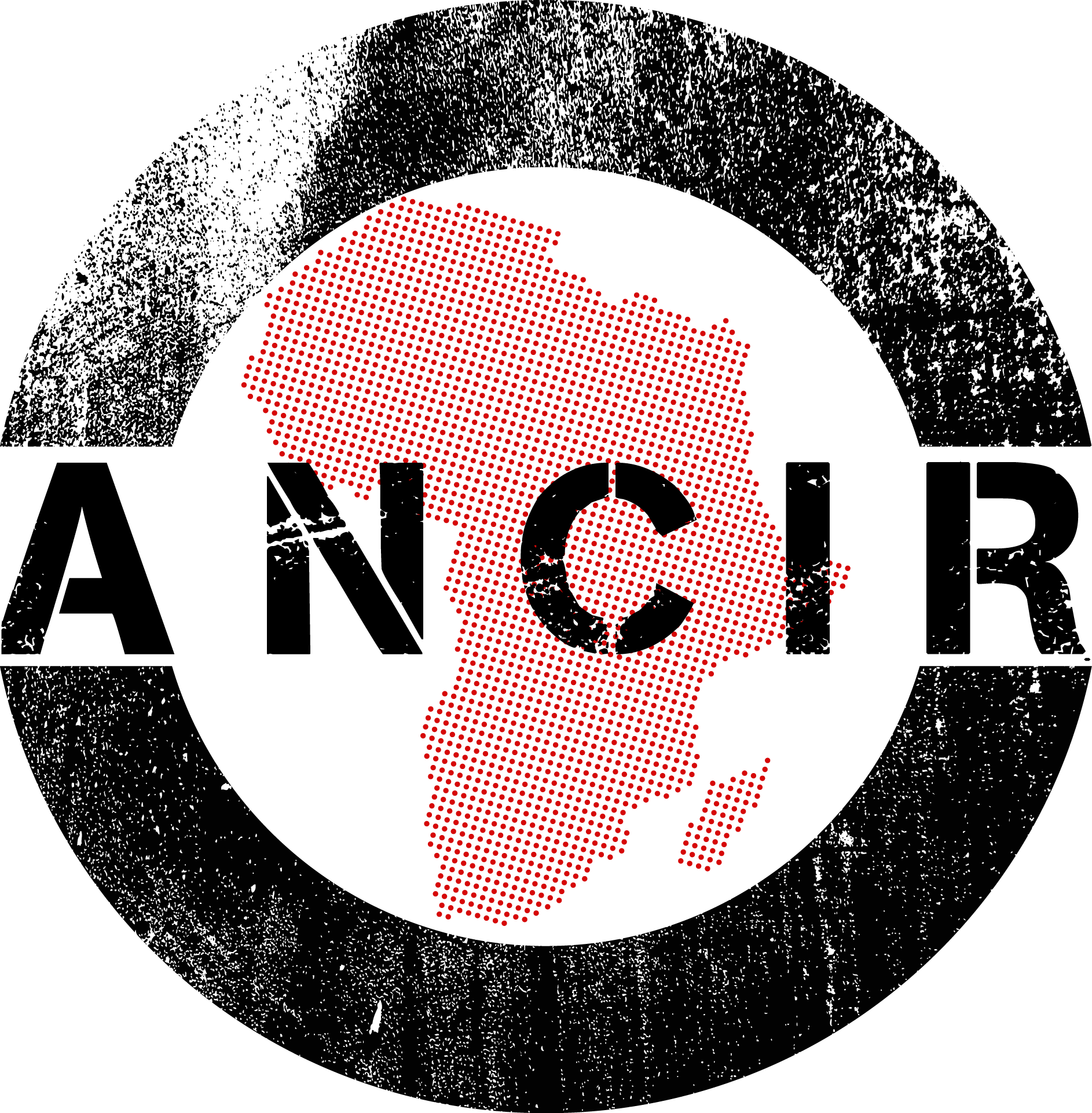 African Network of Centers for Investigative Reporting (ANCIR)