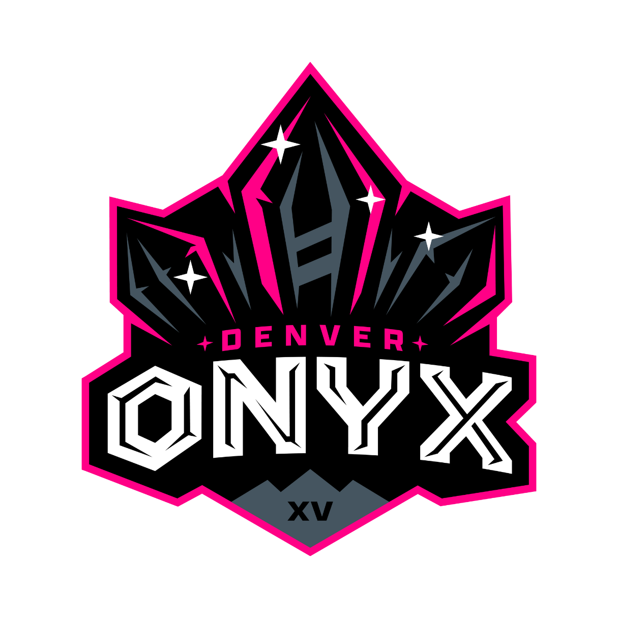 A logo for a Rugby team called TC  Gemini