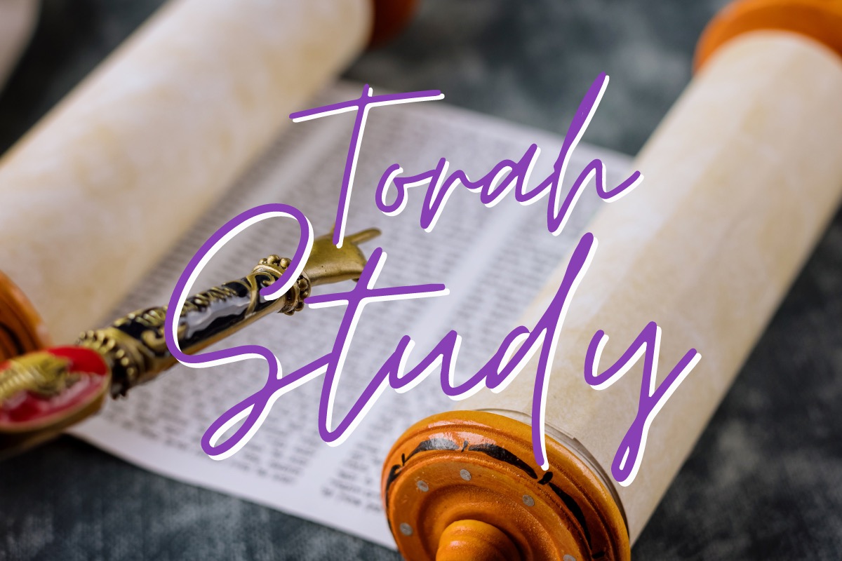 Torah Study with Rabbi Weitzman