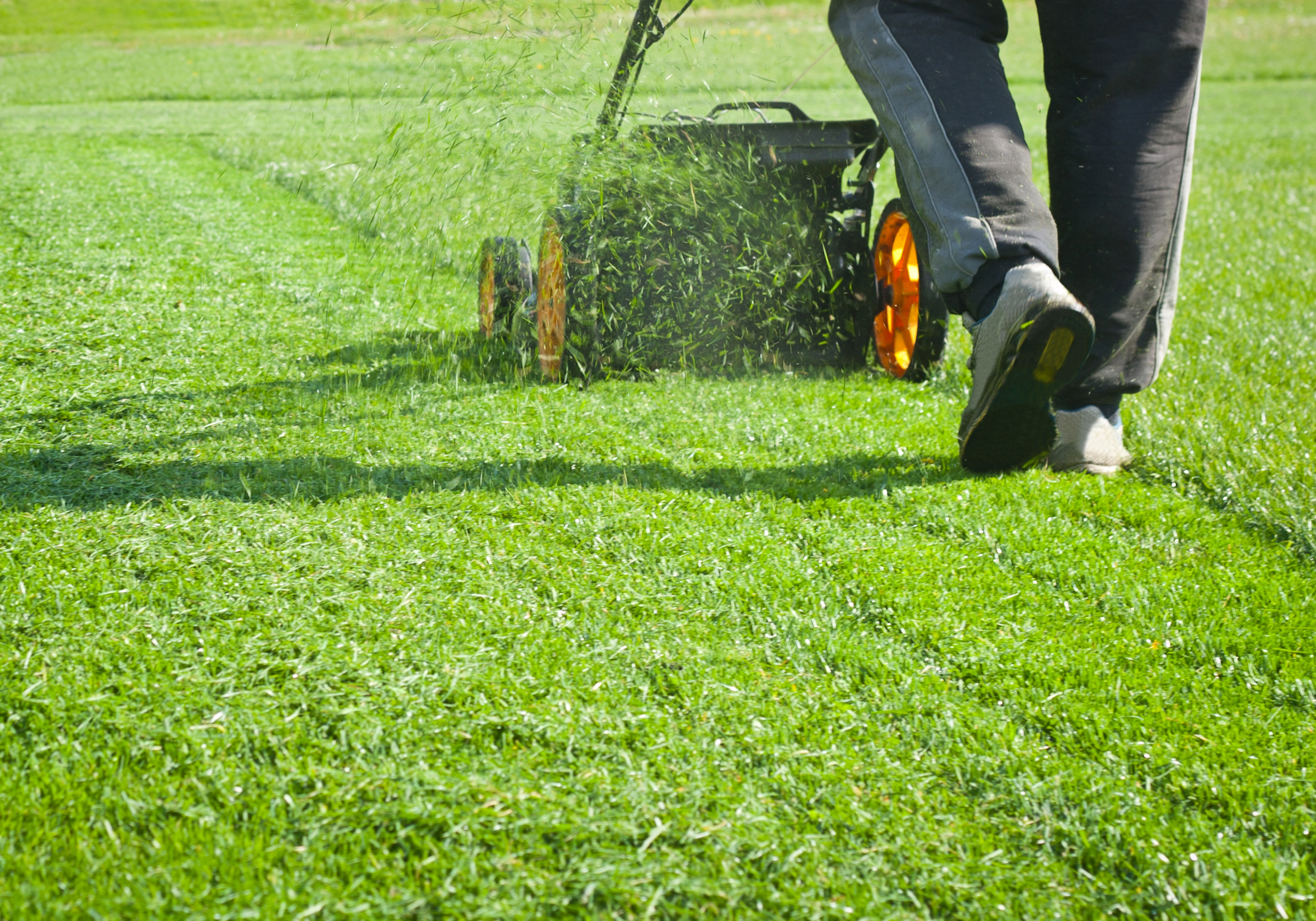 man cutting lawn