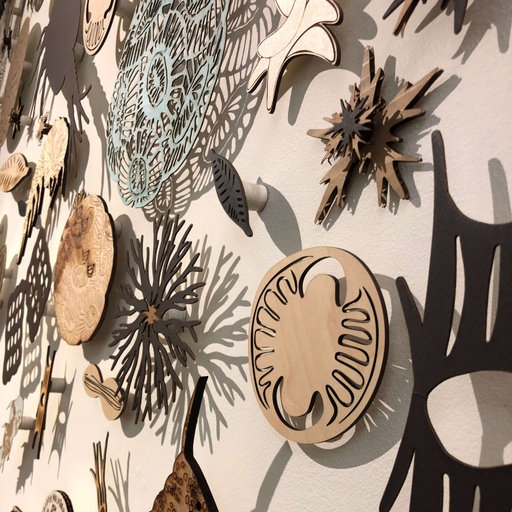 Detail number 2 of Plankton: Our Invisible Foundation - Installation
