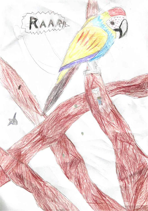 Pirate Parrot