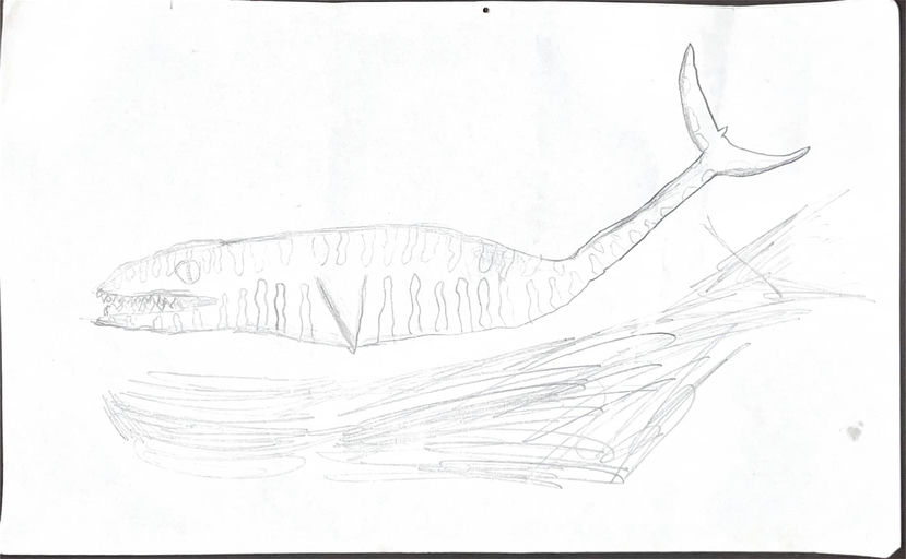 A Dinosaur