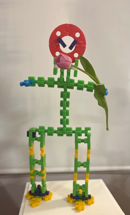 Will you marry me skeletor?
