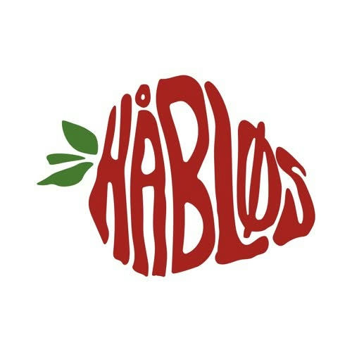 HÅBLØS PÅ GNISTENKlar til at opleve aarhusianske Håbløs på Gnisten? Bandet bringer tragikomisk popm...