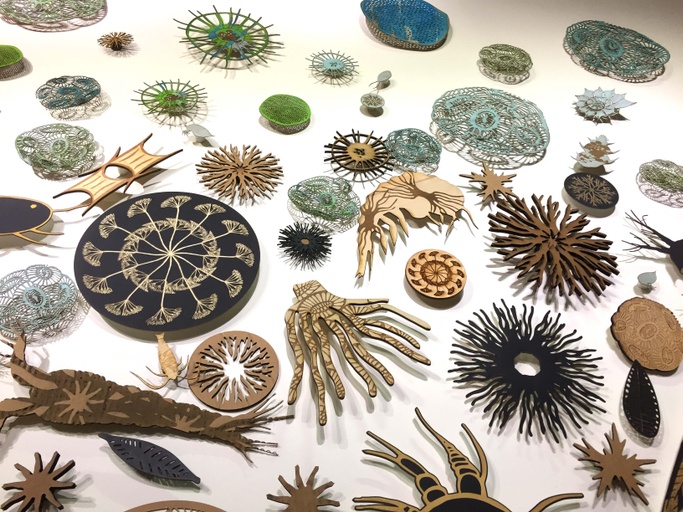Detail number 1 of Plankton: Our Invisible Foundation - Installation