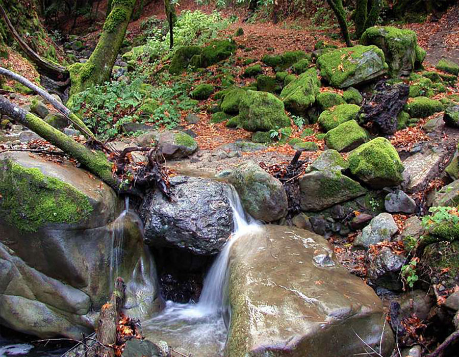 Natural top rock with moss near Madison stream