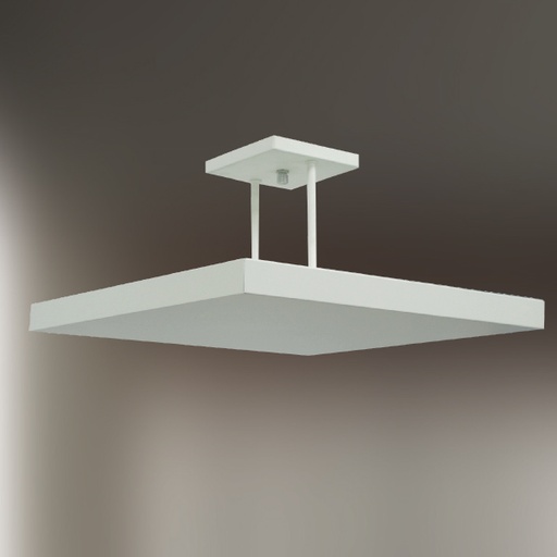 Siema image