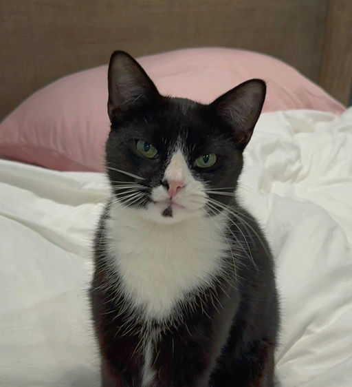 Binx - Binx