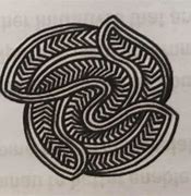 Te Whare Koha