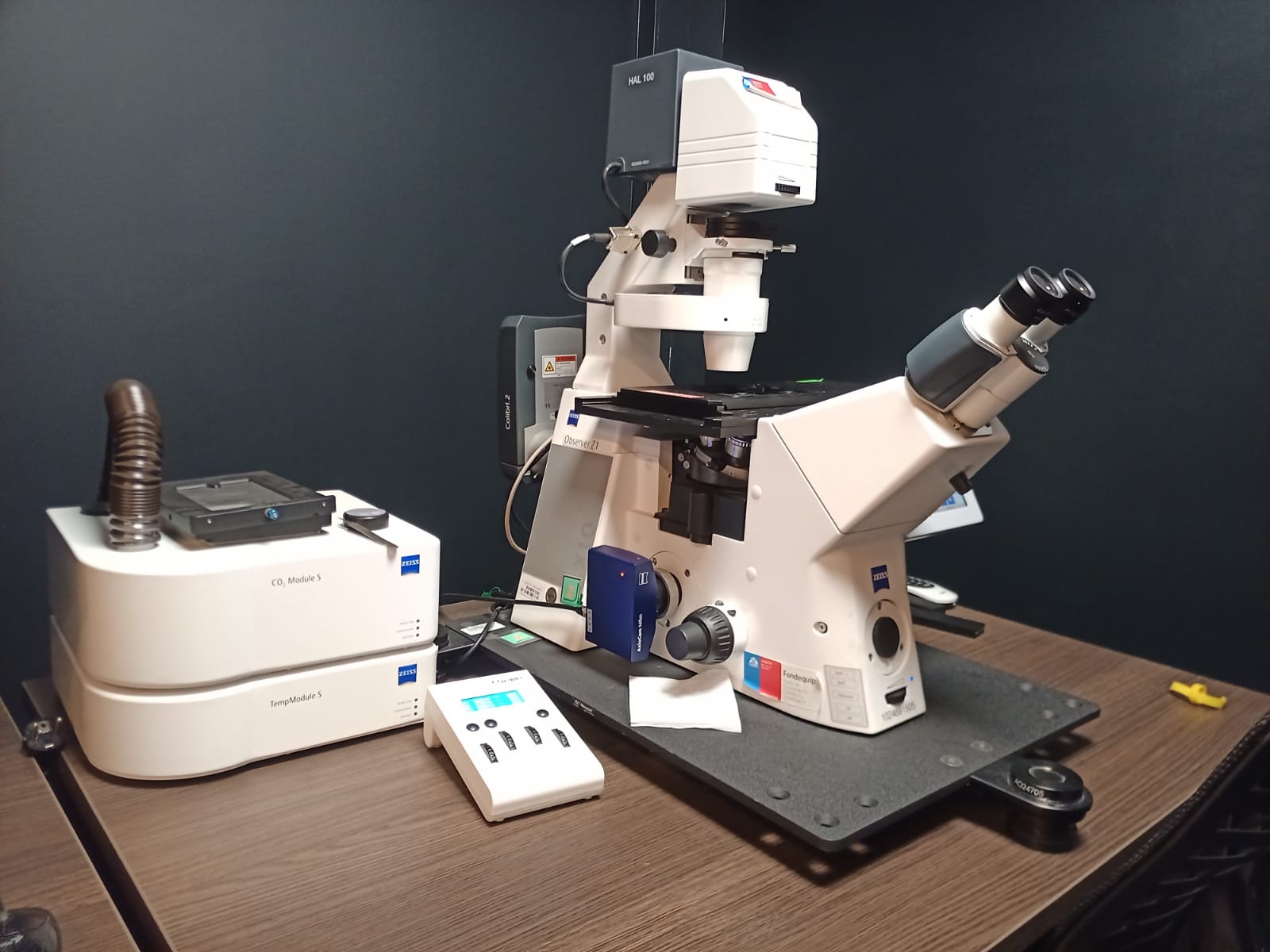 Cell Observer 2