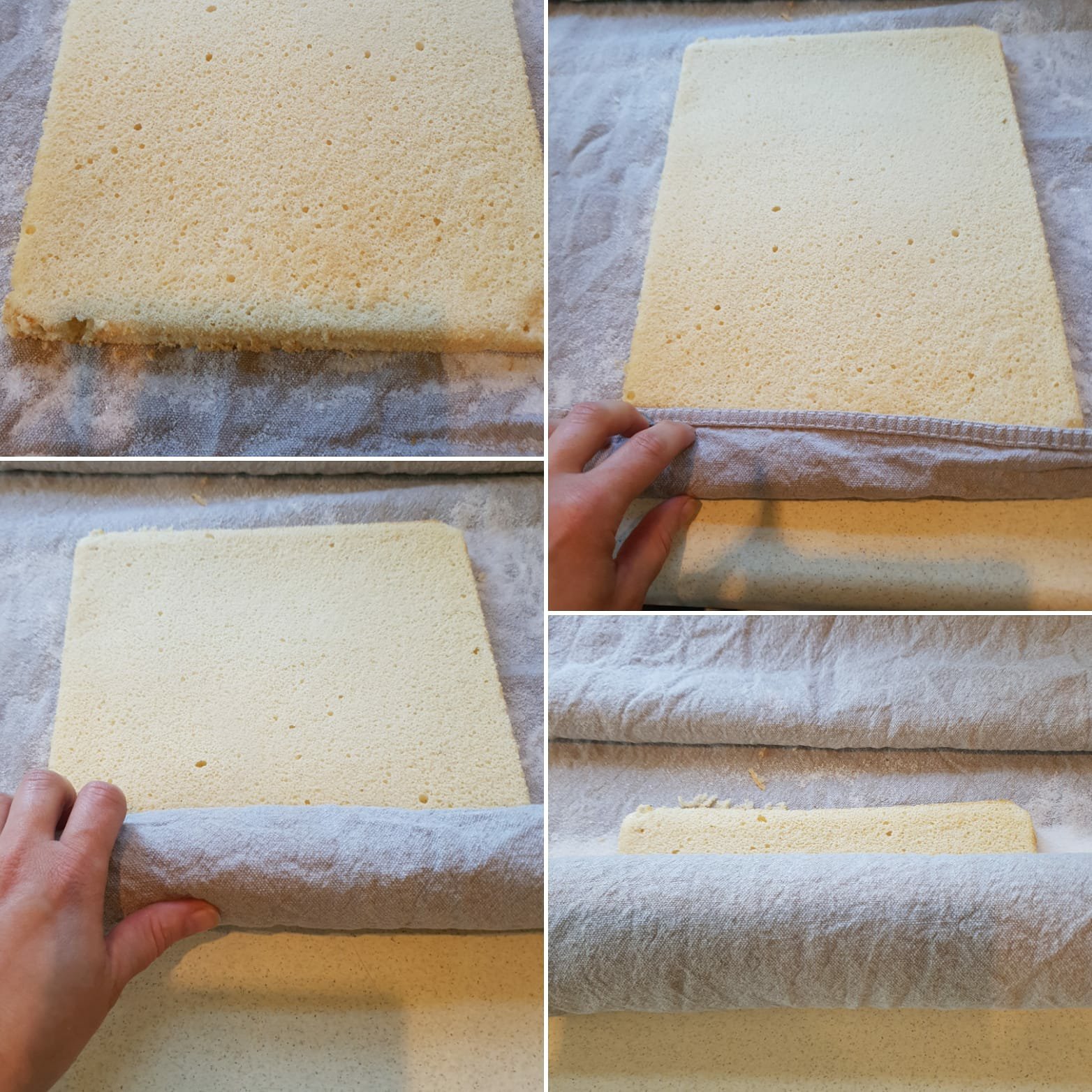 Gâteau roulé au myrtilles