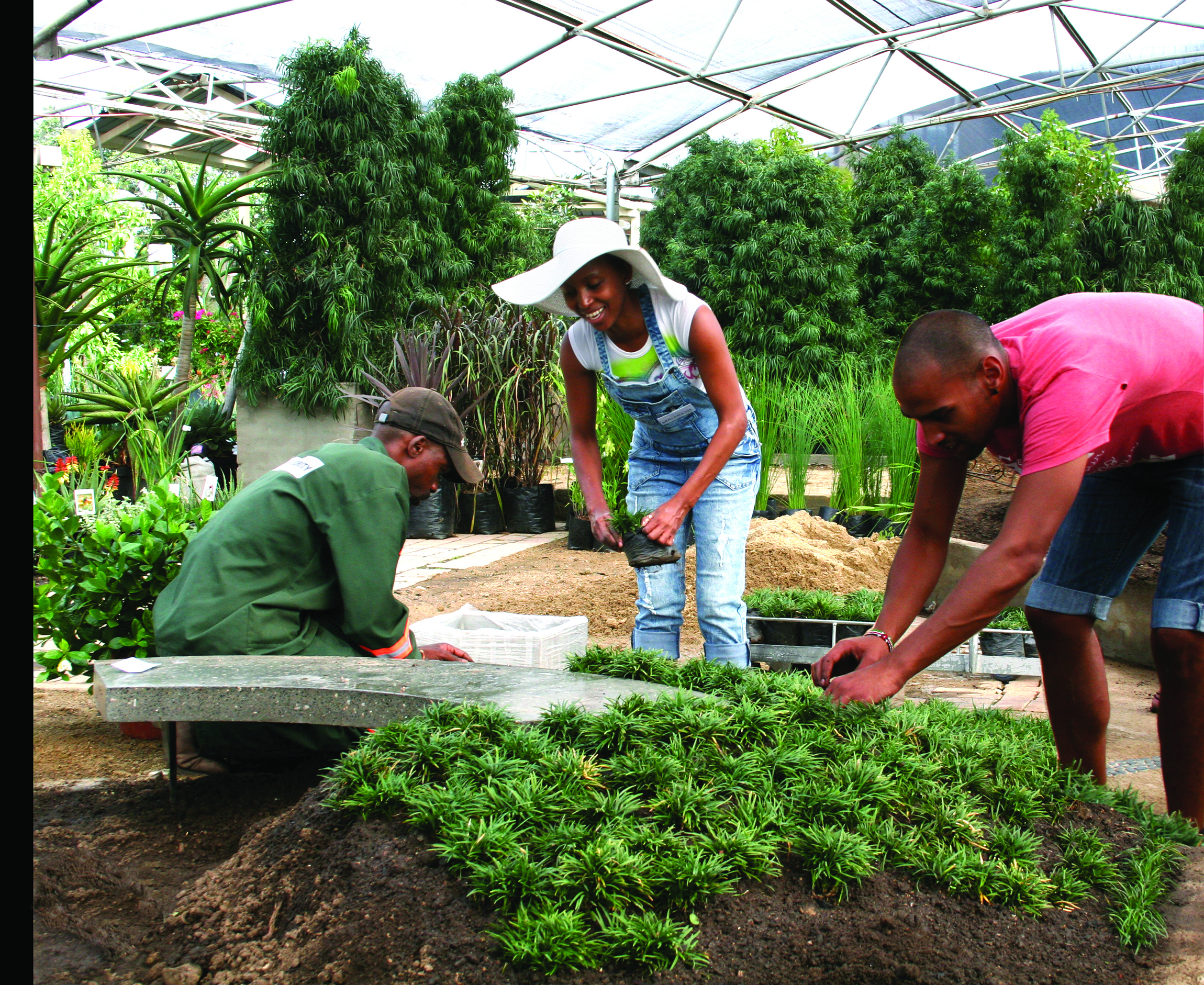 students working in garden