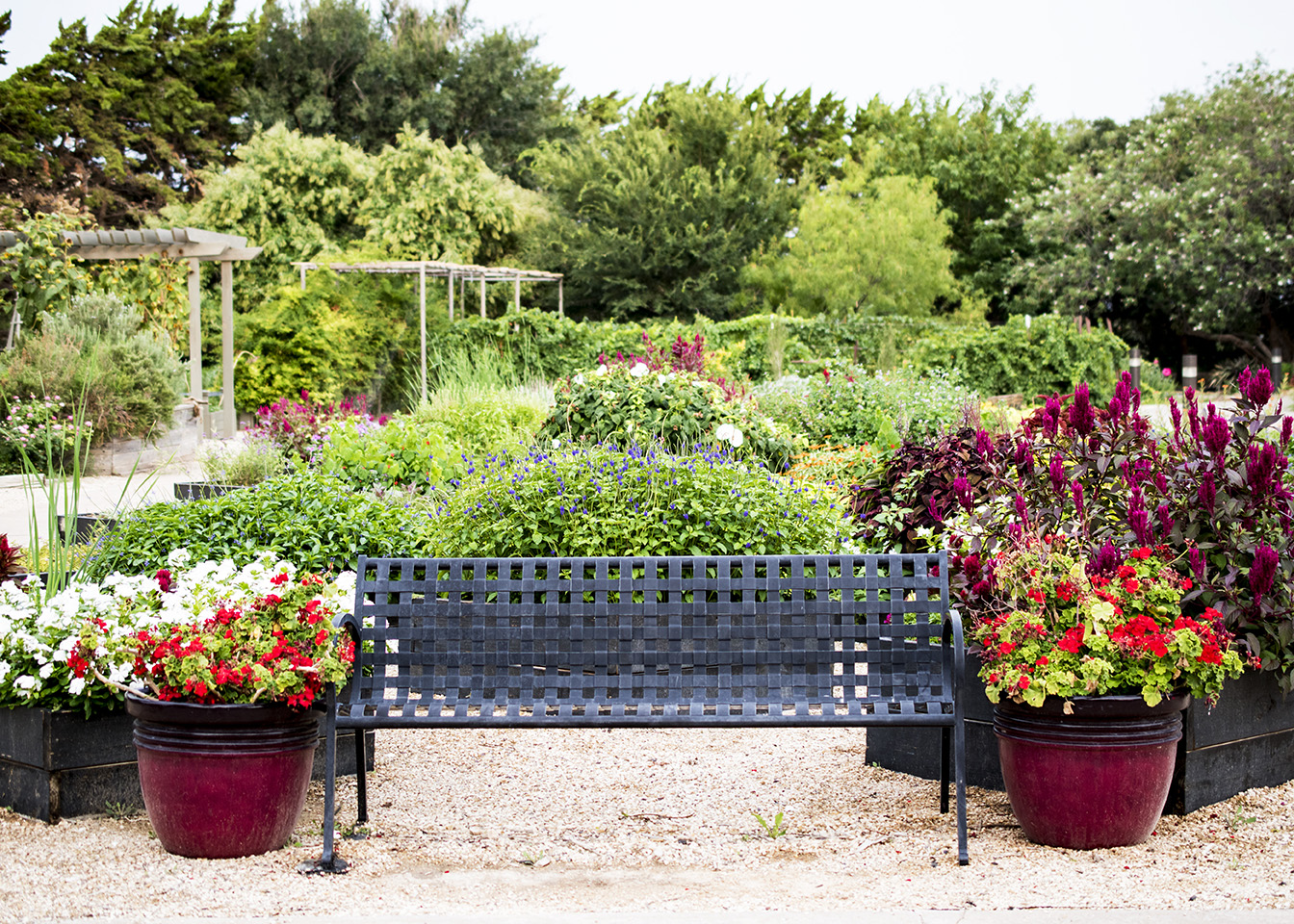 beautiful garden