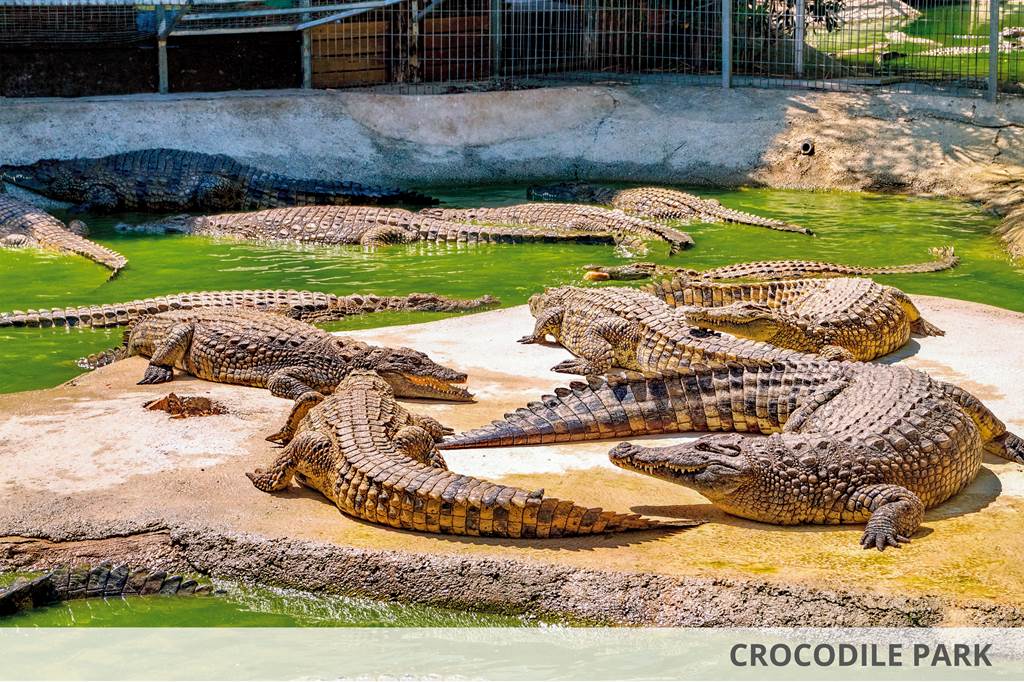 AGP_81259_Palia_Las_Palomas_&_Waterpark_0321_03.jpg