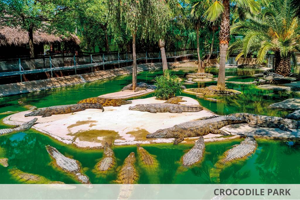 AGP_81259_Palia_Las_Palomas_&_Waterpark_0321_02.jpg