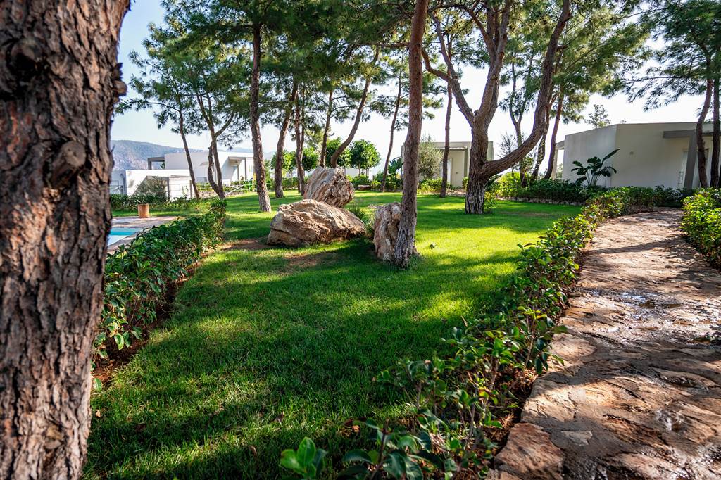 DLM_87884_Z_Villas_-_Junior_Villa_with_Sea_View_1124_21.jpg
