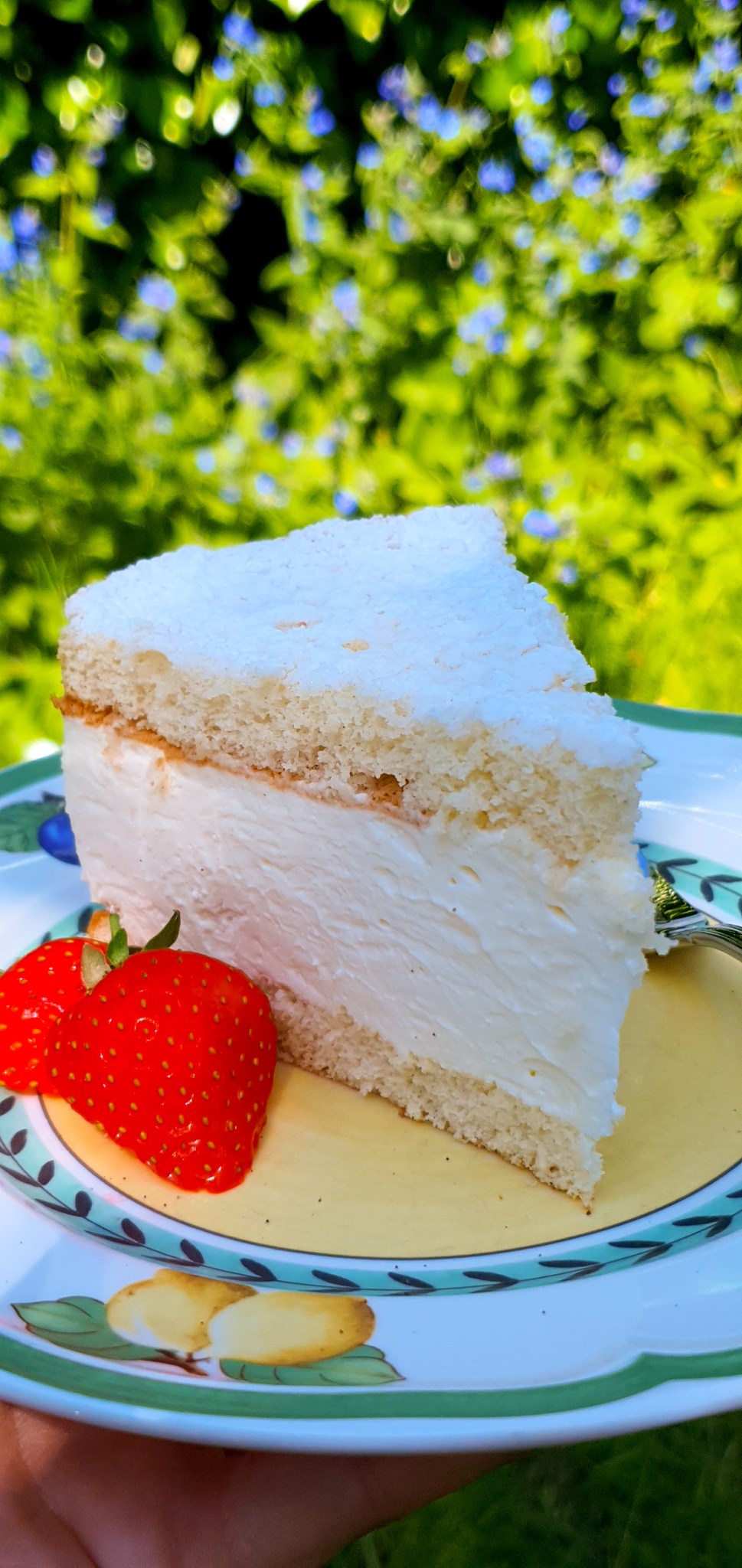 Holunder-Sahne-Torte