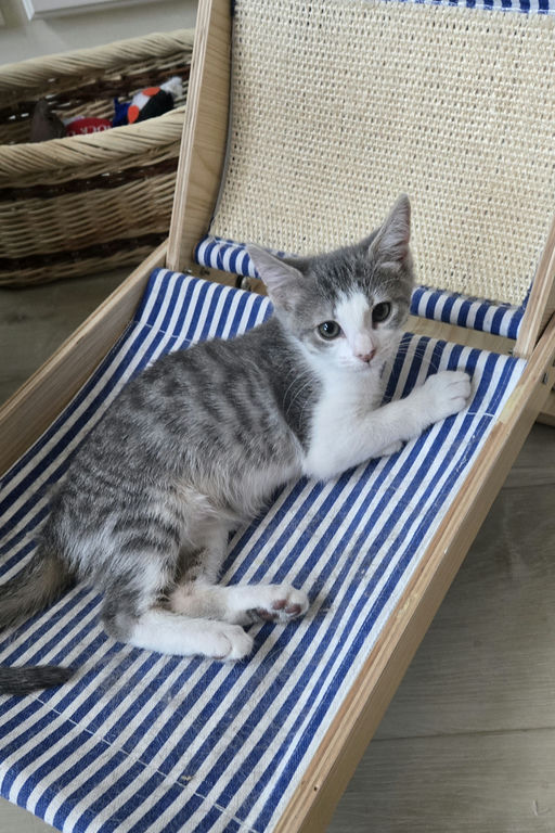 Clara - Clara