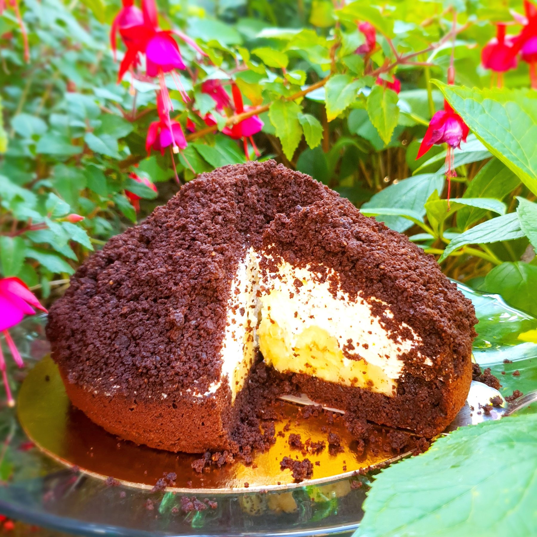 Gâteau taupinière & cupcakes (traditionelle + Thermomix)
