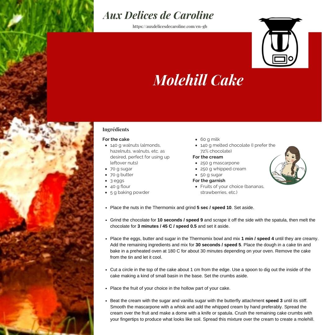 Molehill Cake & Cupcakes (traditional & Thermomix)