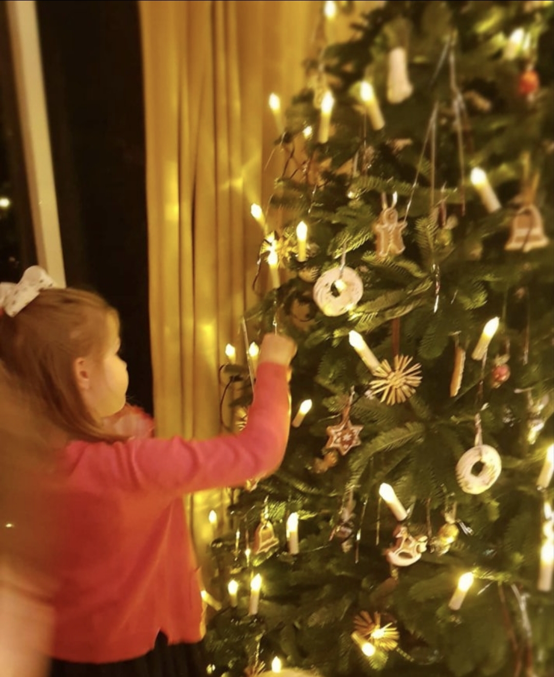Lebkuchen as tree decoration or for making gingerbread houses