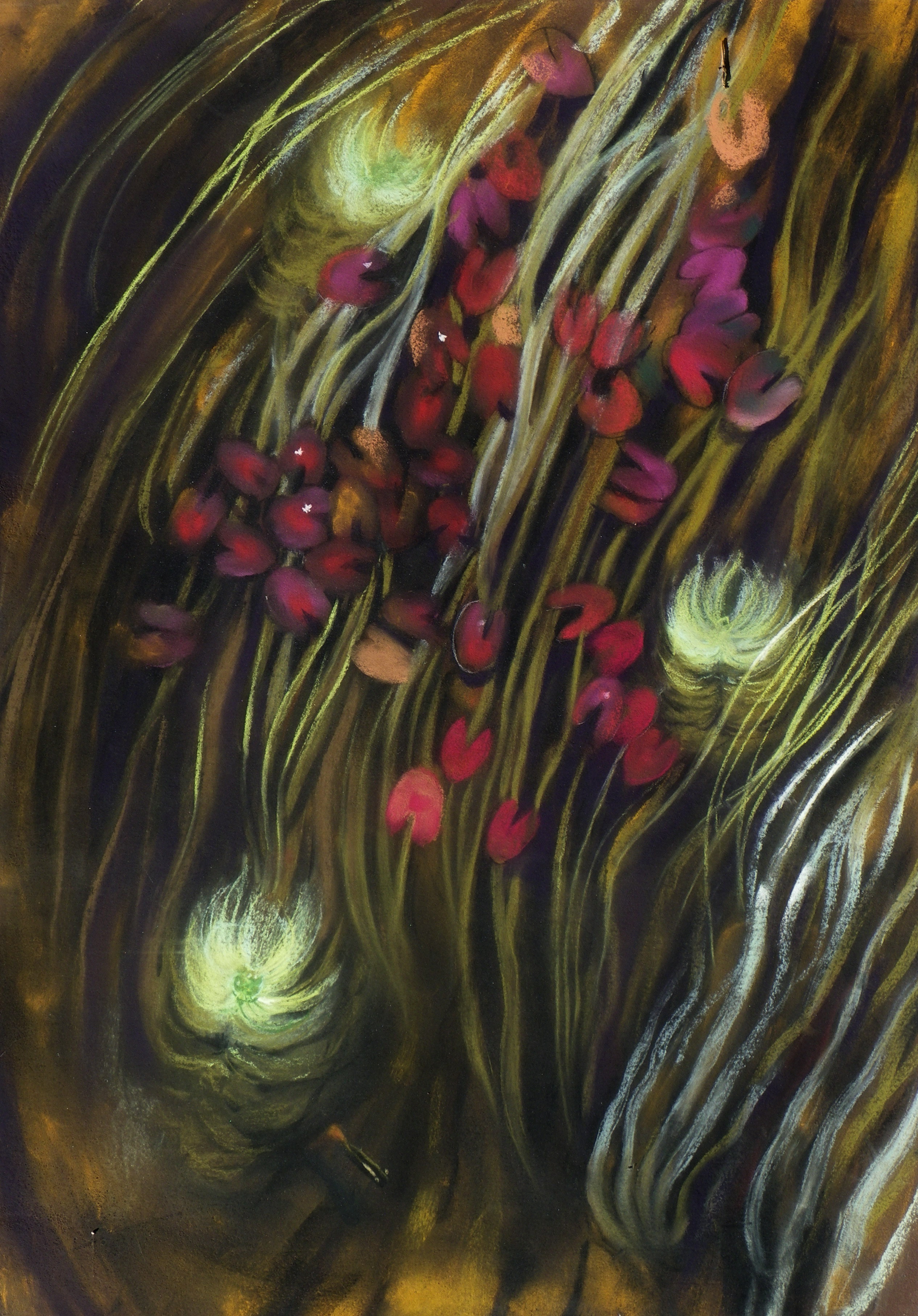 Plants in a Rivulet