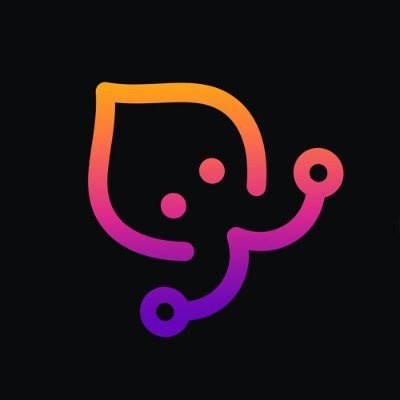 Calamari
 Network