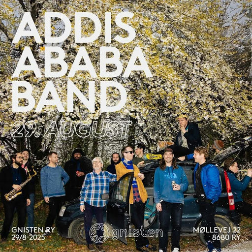 NY KONCERT: ADDISABABABAND