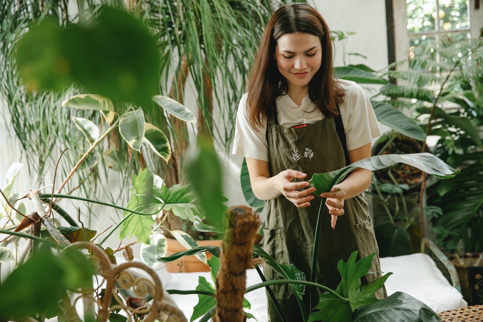Scaling with Purpose: Aligning Business Growth with Your Vision
