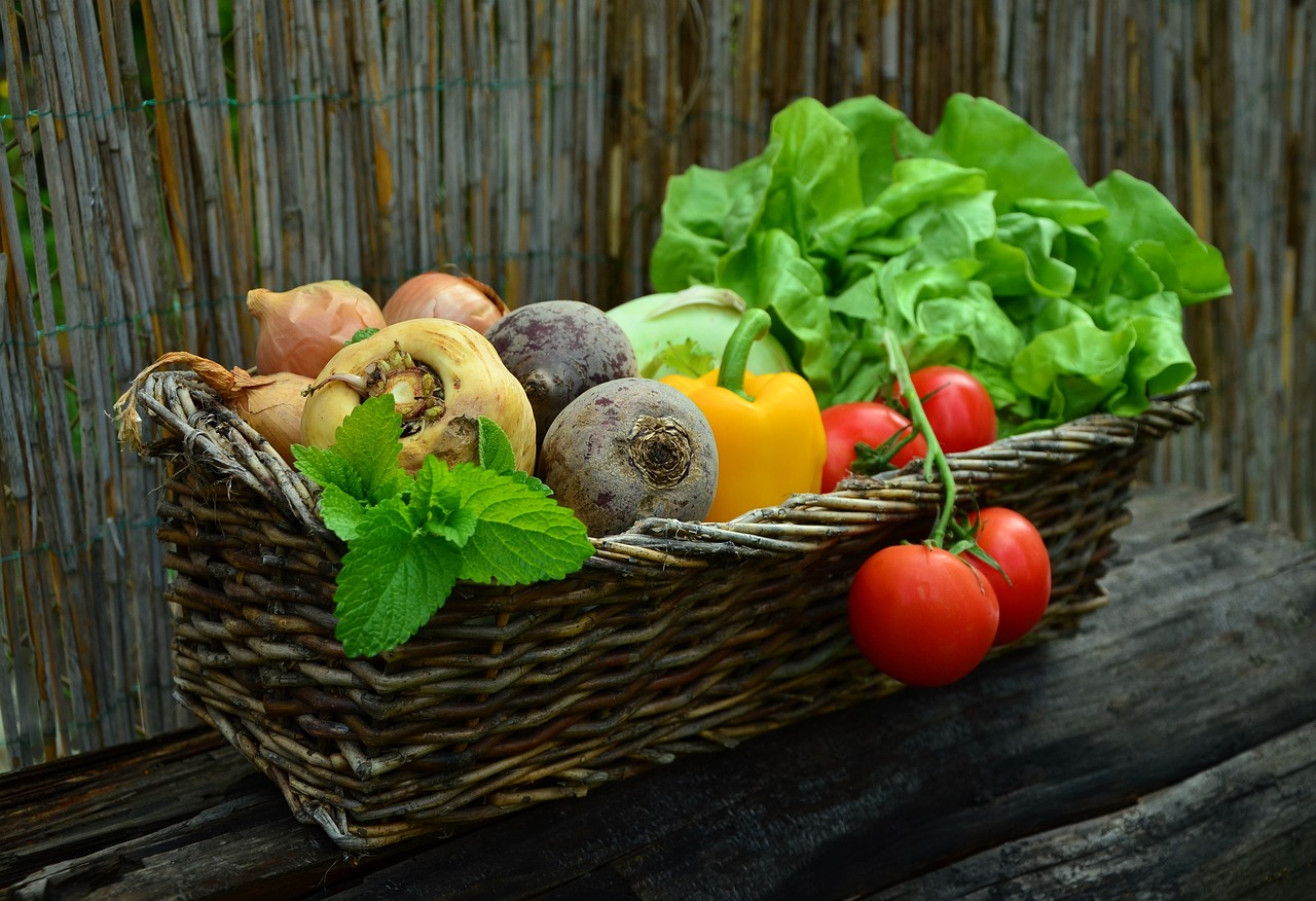 Building a Sustainable Brand in the Organic Food Industry