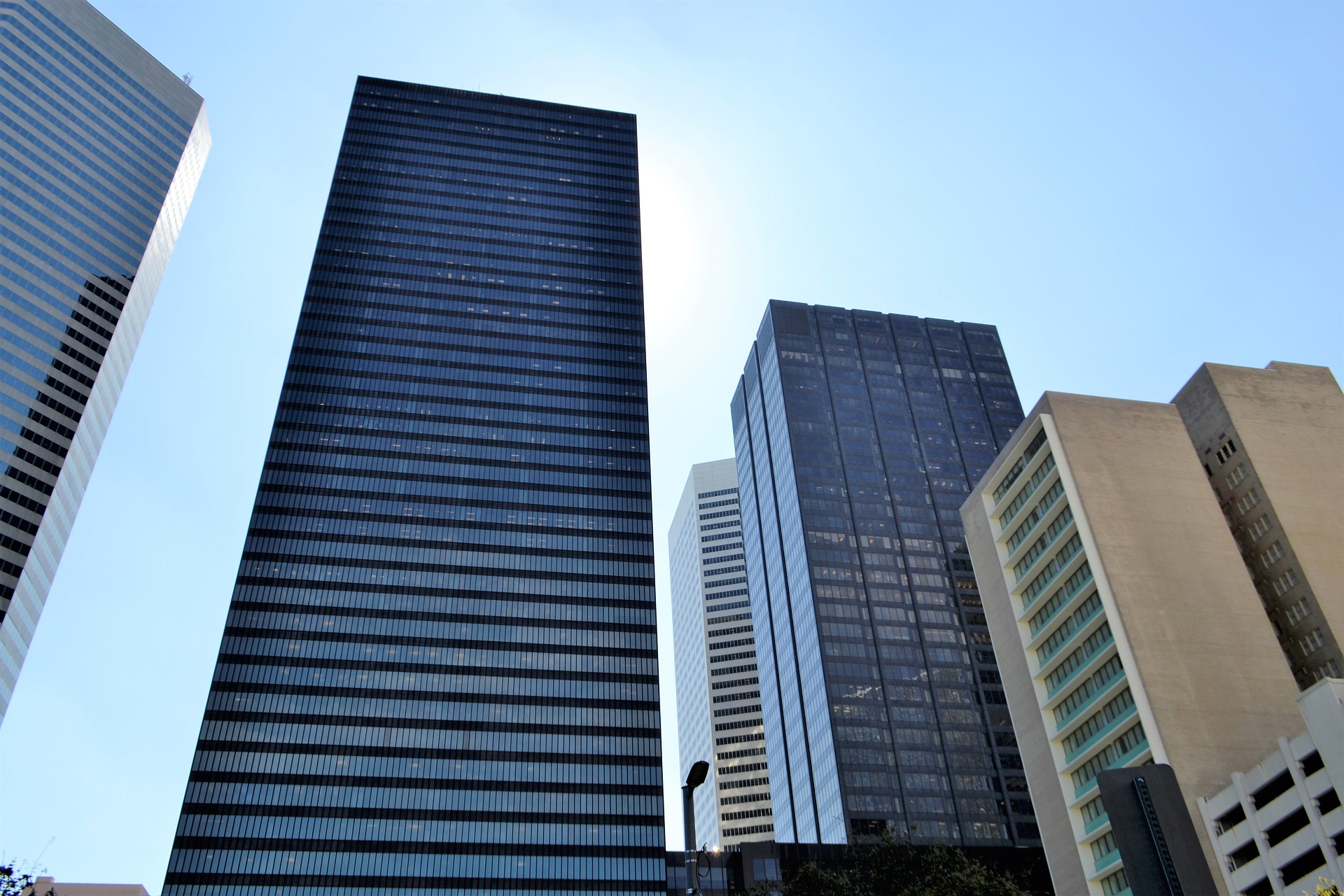 Cultivating Strategic Partnerships for Cross-Industry Growth