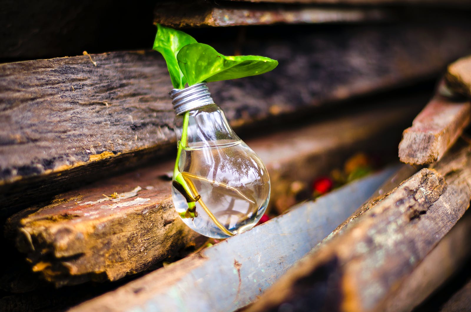 The Business of Innovation: Ideas for Driving Growth and Change