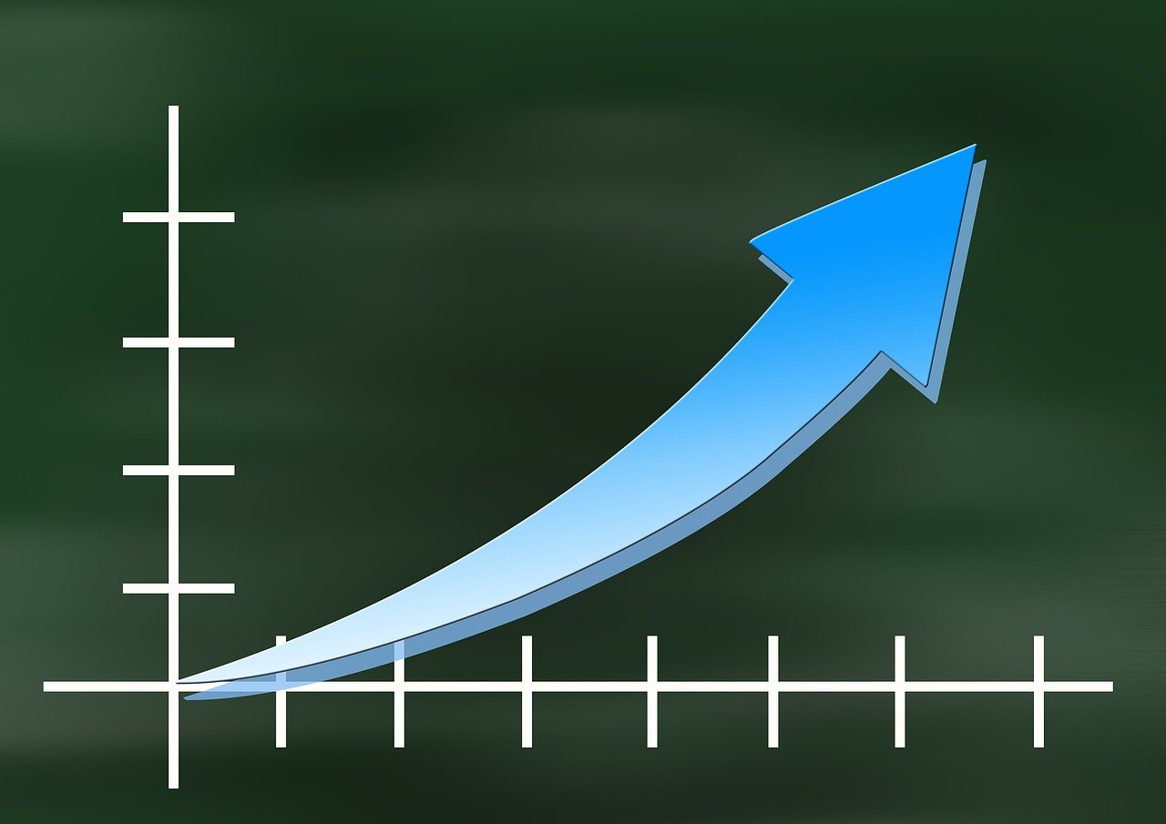 How to Scale a Business in a Highly Competitive Niche
