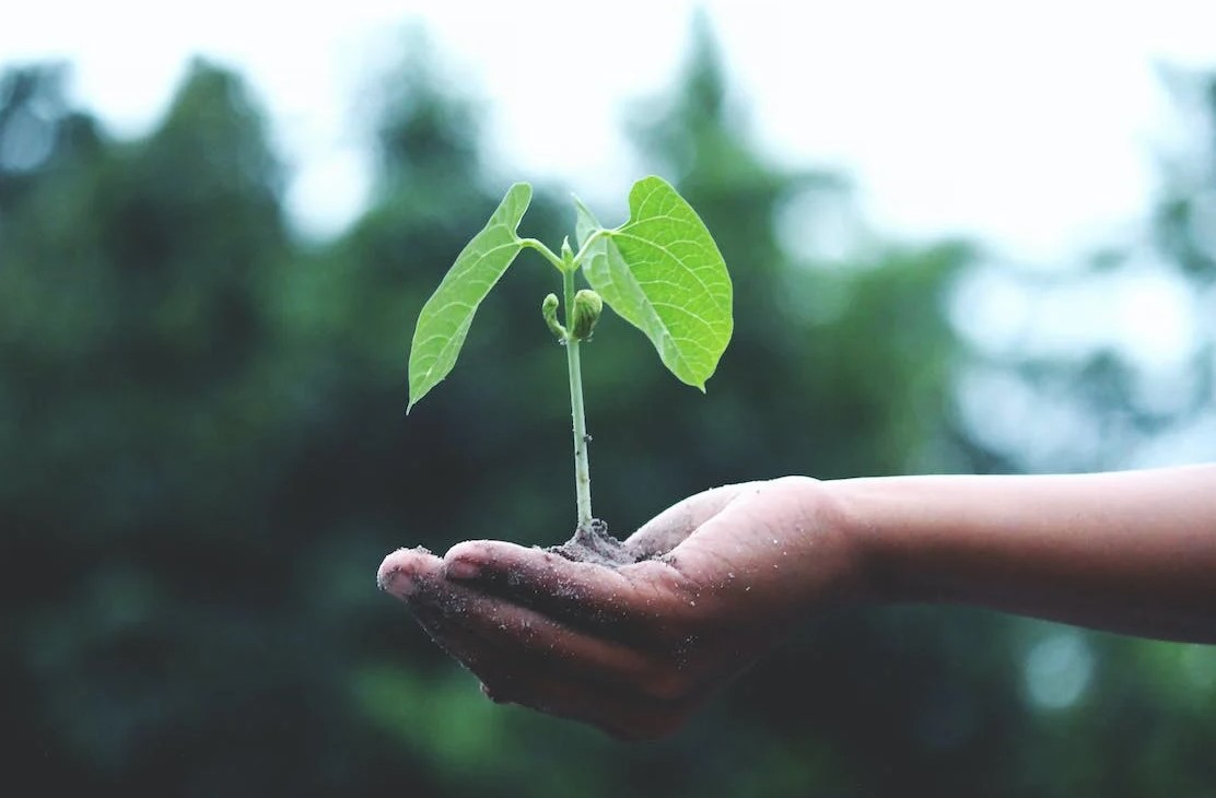 6 Proven Strategies for Boosting Business Growth