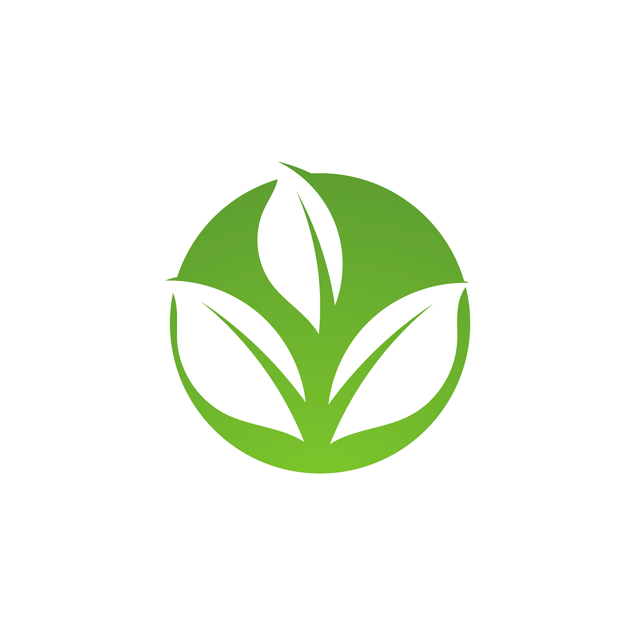 Sustainable Business Practices: Building an Eco-Friendly Brand