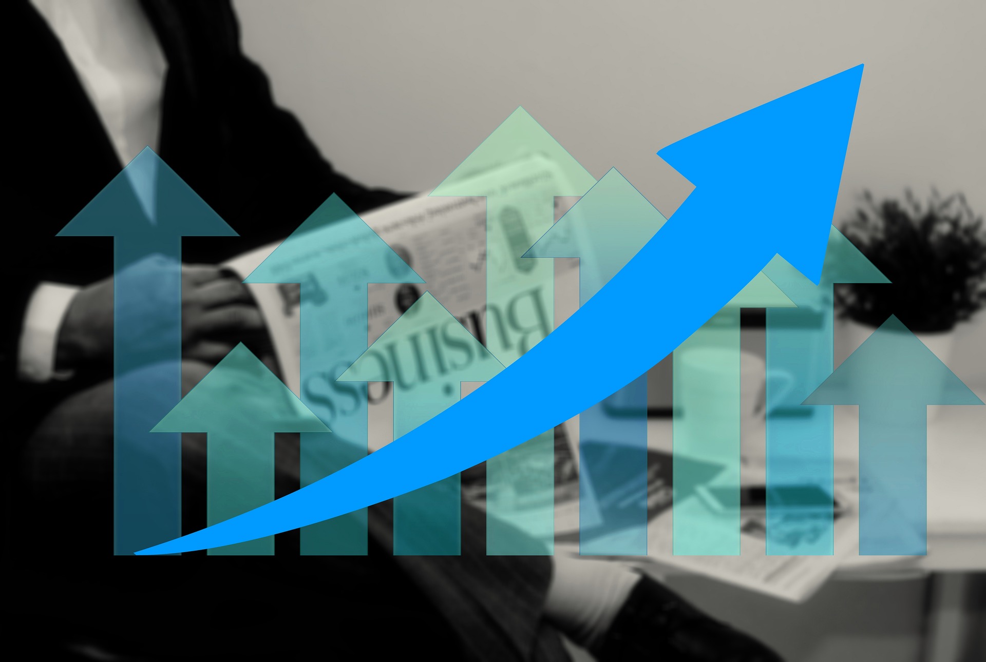 Niche Marketing Wins: How Hyper-Focus Can Drive Growth