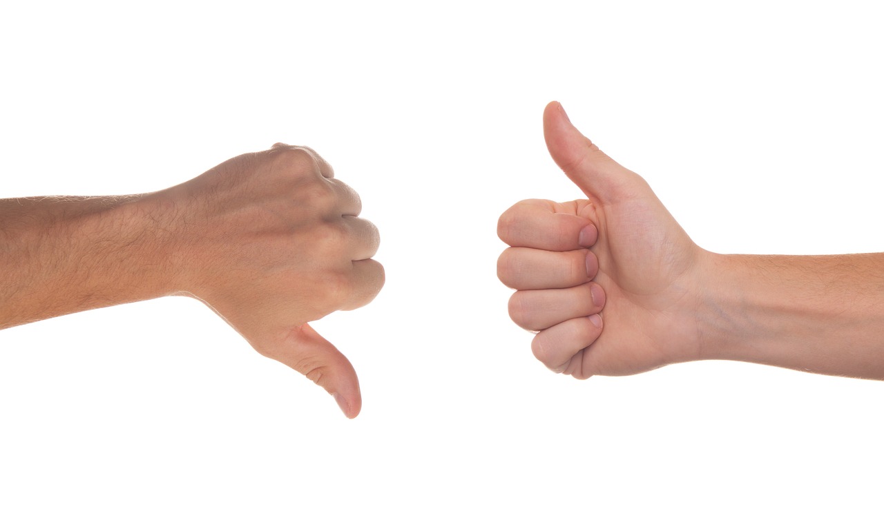 Franchising vs. Organic Growth: Analyzing the Pros and Cons for Scaling Ventures