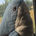 arav profile picture